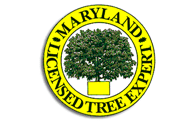 Licensed Marlyand State Tree Experts